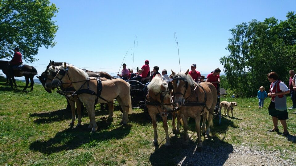 Georgiritt Gramastetten mit Mostkost – Foto 2