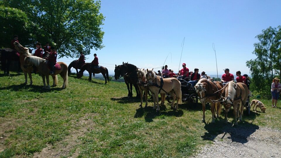 Georgiritt Gramastetten mit Mostkost – Foto 7