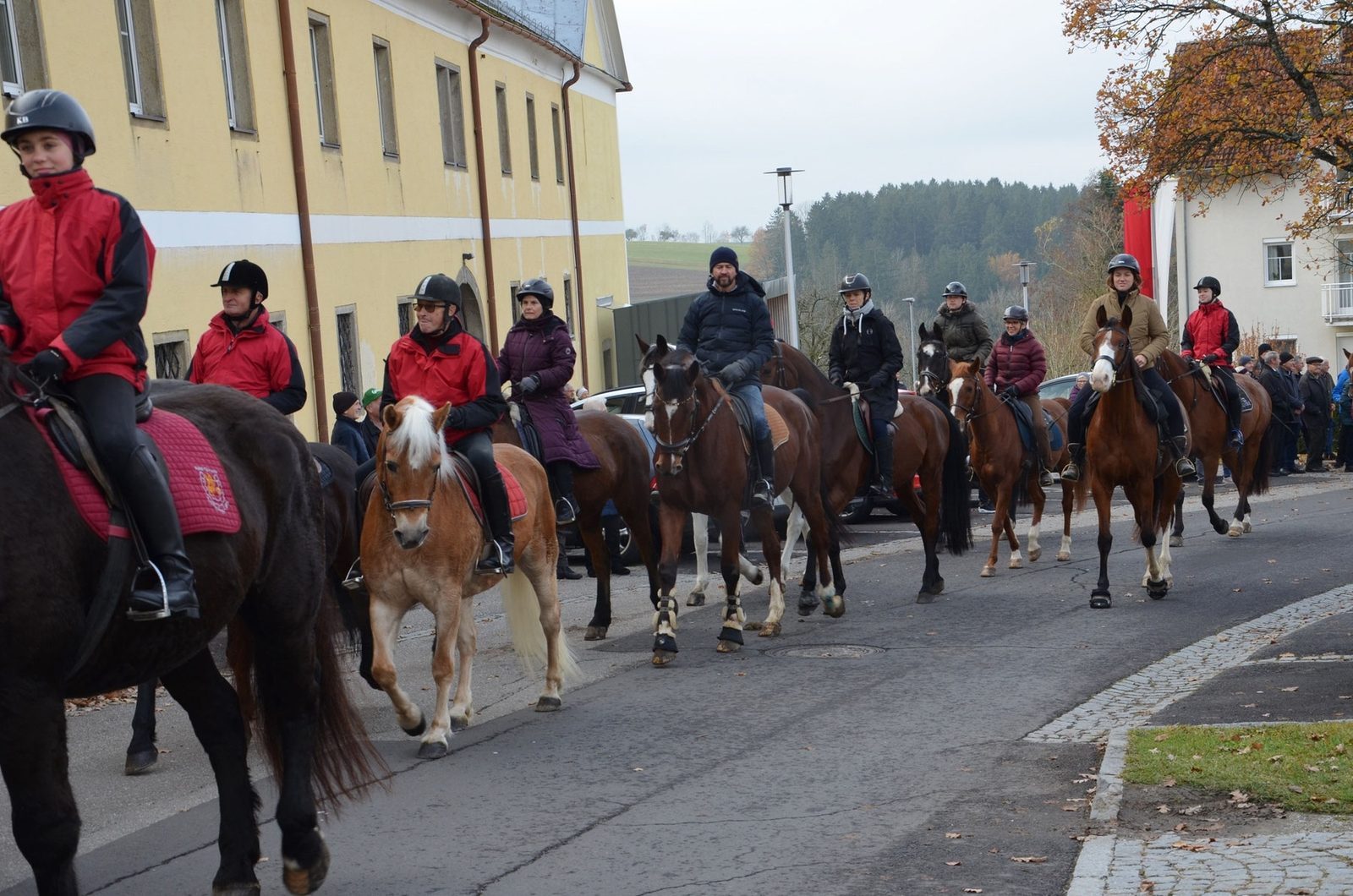 Leonhardiritt Eidenberg – Foto 6
