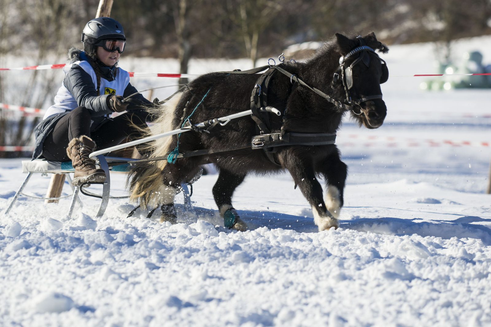 Pferdeschlittenrennen – Foto 4