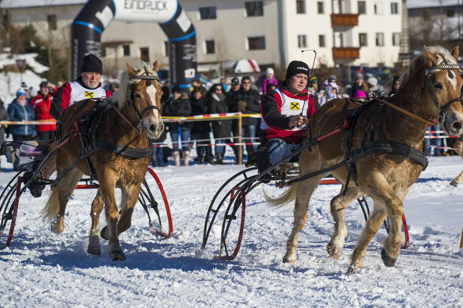 Pferdeschlittenrennen – Foto 7