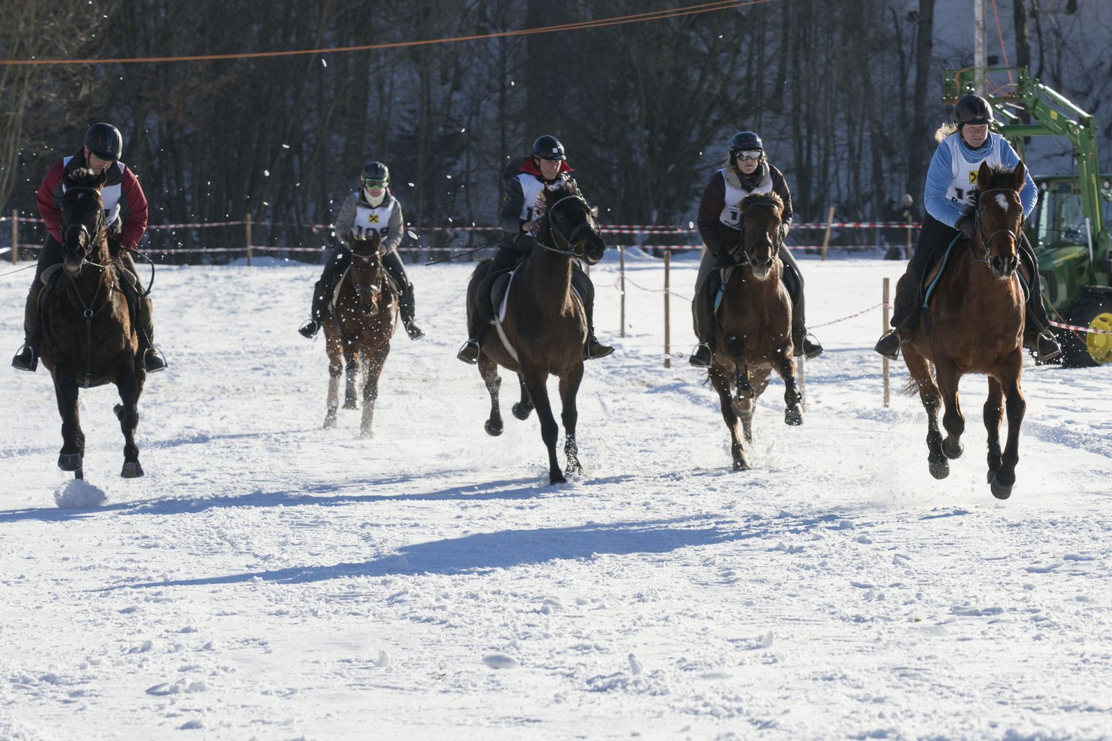Pferdeschlittenrennen – Foto 9