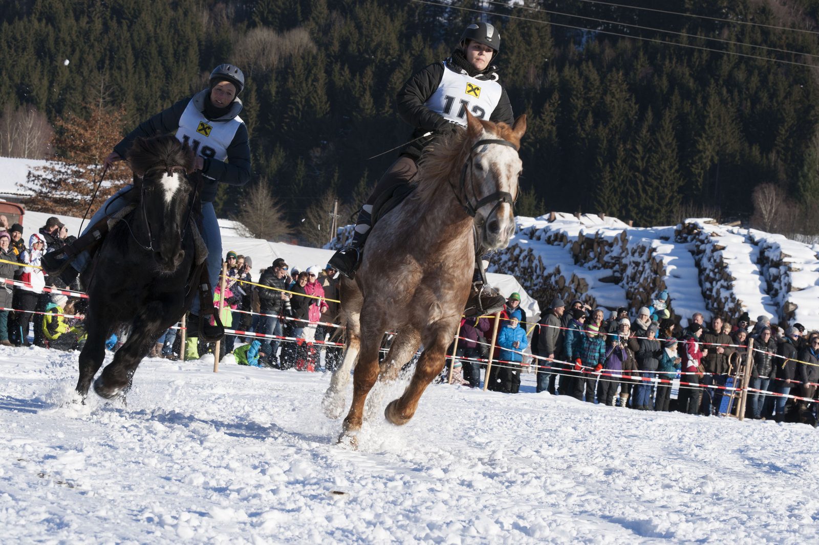 Pferdeschlittenrennen – Foto 11