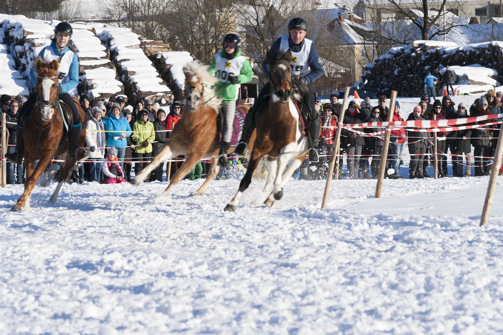 Pferdeschlittenrennen – Foto 13