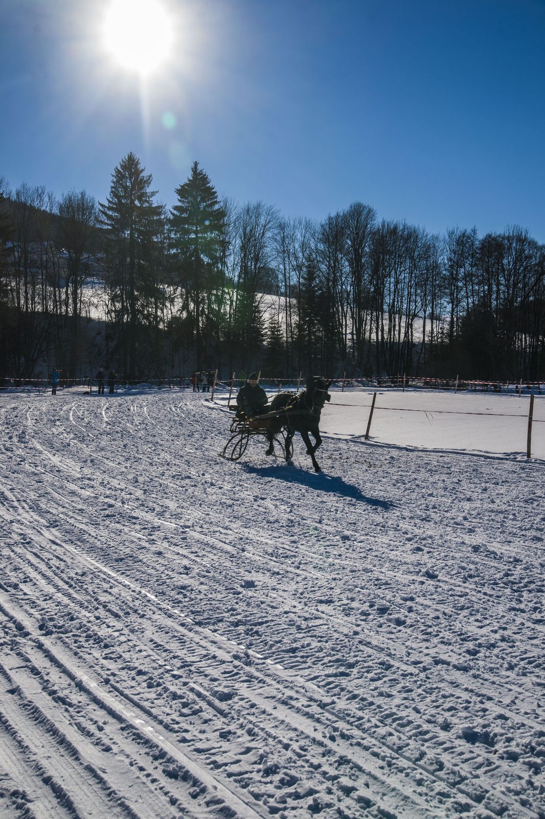Pferdeschlittenrennen – Foto 15